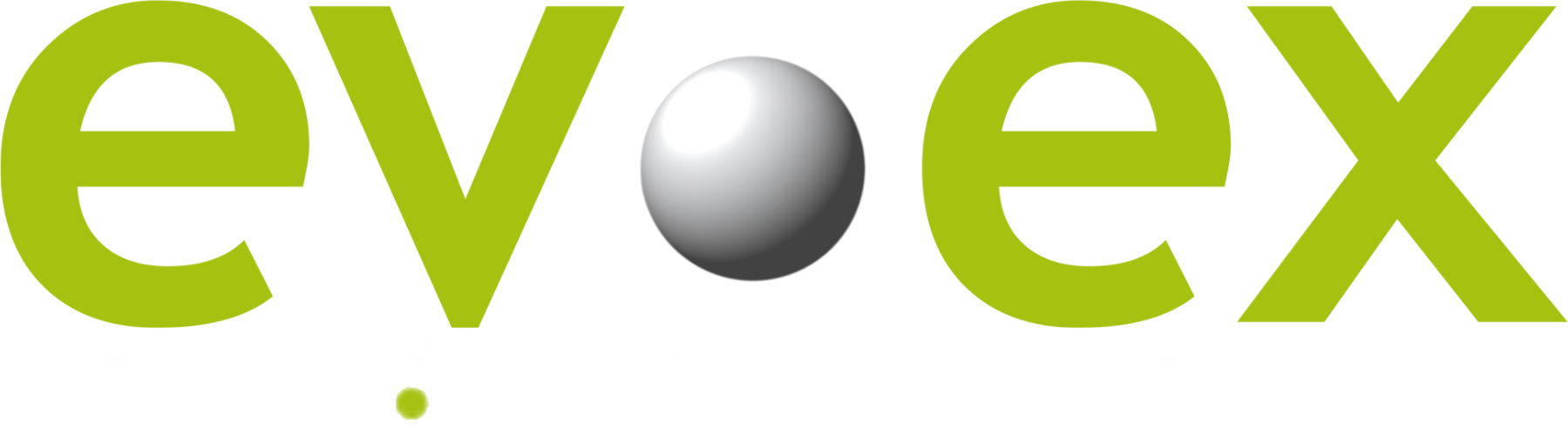 ev.ex design